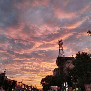 国内精品久久人妻无码不卡
